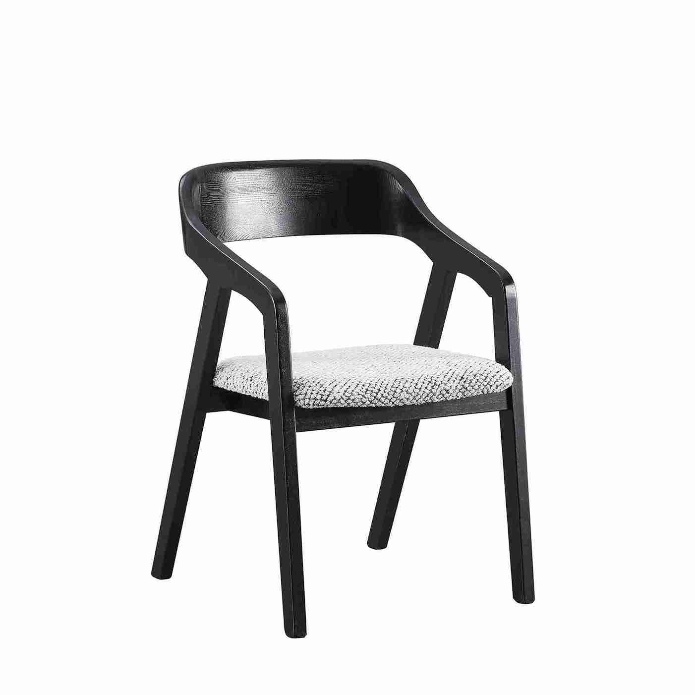 Darwin Dining Chair, Black Frame